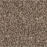 Horizon CarpetSP50 (T)
